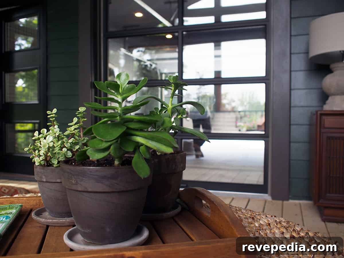 HGTV Urban Oasis: Tour a Stunning Ann Arbor Home 18 img 17319 22