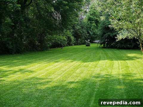 Pro Golf Greenskeeper’s Expert Lawn Care Tips 2 lawns-pros-pga.jpg