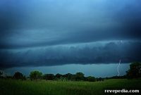 Essential Home Supplies to Weather a Storm