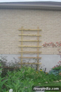 Affordable Wooden Trellis Plan to Rescue Your Climbing Vine 3 new trellis.jpg