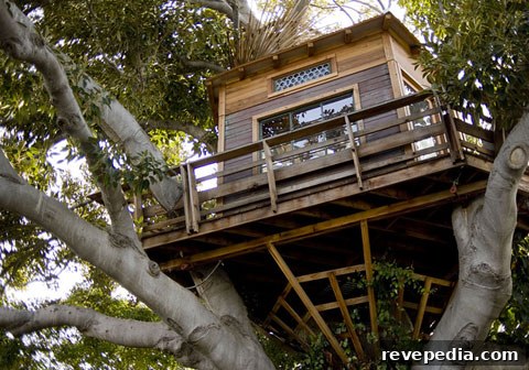 Luxury Treehouse Design Ideas for Unique Getaways 3 tree-house-design.jpg