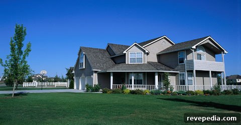 Going Green on a Budget: Simple Low-Cost Tips for Eco Living 2 going-green-home.jpg