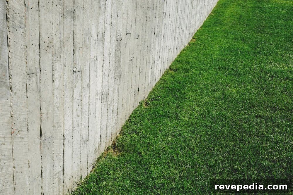 Fescue vs St. Augustine: Which Lawn Grass Suits Your Yard? 3 img 1878 2