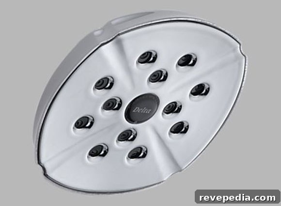 Win a Delta Raincan Showerhead — Enter Our Giveaway Now 39 delta-raincan-showerhead.jpg