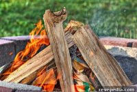 DIY Backyard Fire Pit Ideas to Warm Up Your Outdoor Space