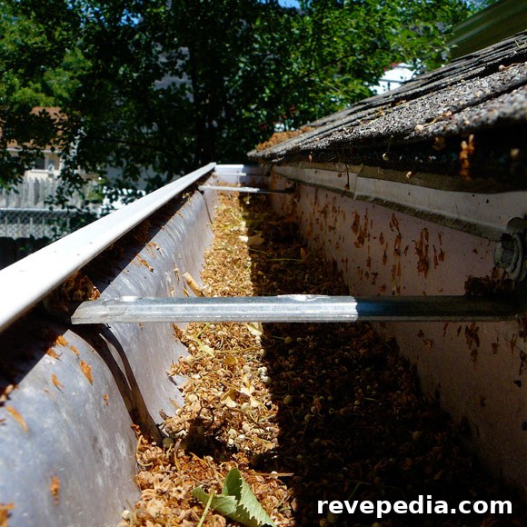 Gutter Cleaning Guide: Quick Steps to Clear Clogged Gutters 2 how-to-clean-gutter.jpg