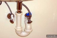 Sweating vs Leaking Pipes: How to Tell and Fix Each Problem