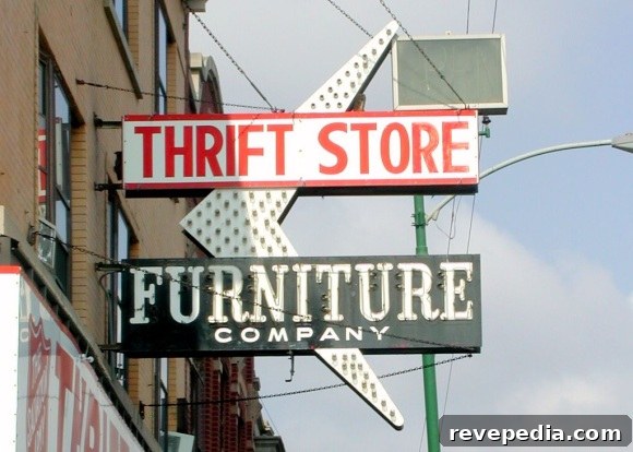 How to Avoid Bed Bugs When Thrift Shopping 2 thrift-store-sign.jpg