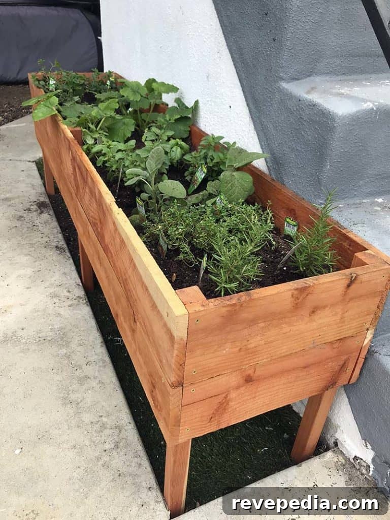 planter-box