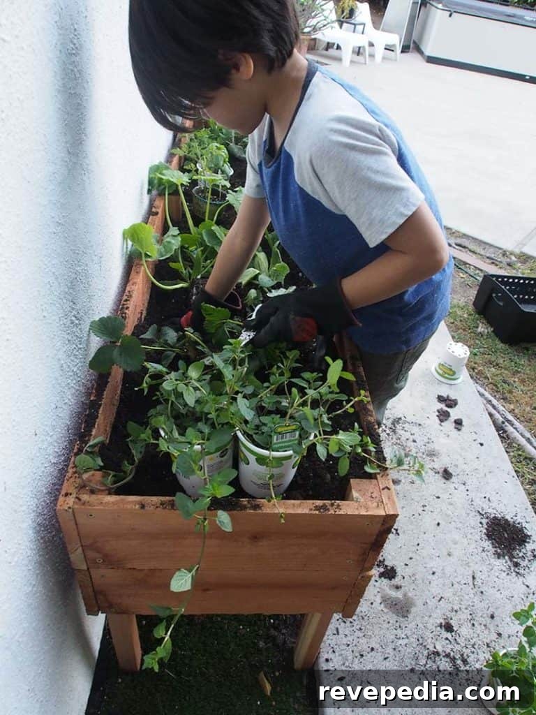 plant garden