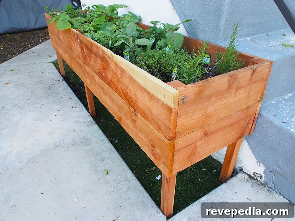 raised planter box