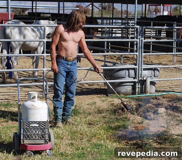 Win a $50 Home Depot Gift Card: Enter Our Caption Contest 2 weed-killer.jpg