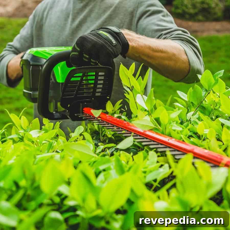 Greenworks Cordless Hedge Trimmer Review: Power, Battery Life & Tips 2 img 20588 1