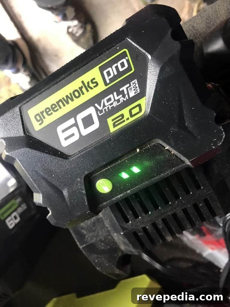 Greenworks Cordless Hedge Trimmer Review: Power, Battery Life & Tips 6 img 20588 5