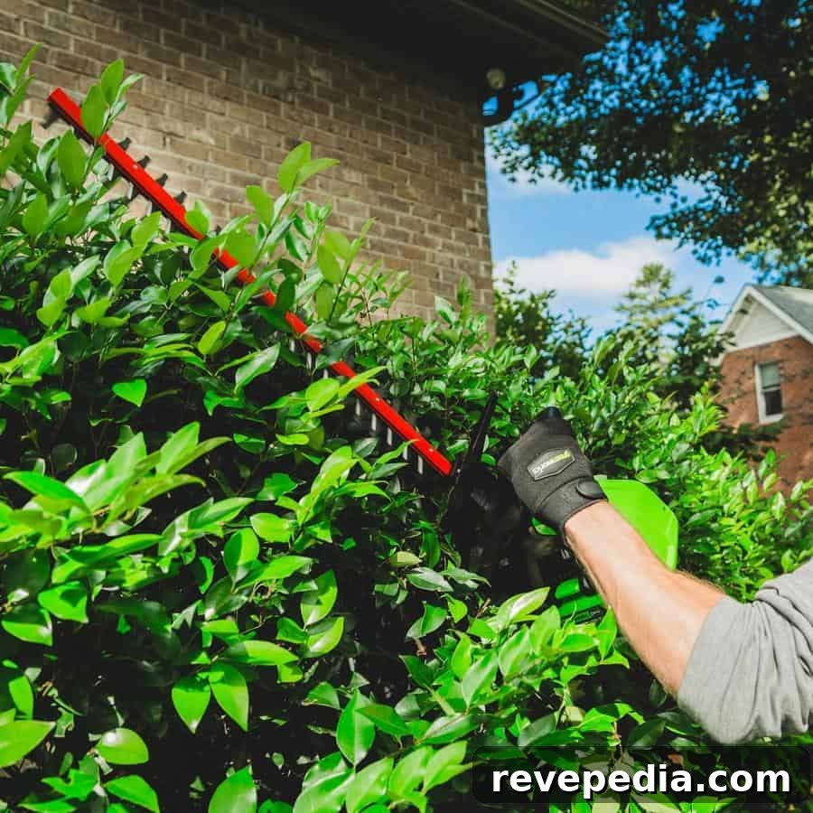 Greenworks Cordless Hedge Trimmer Review: Power, Battery Life & Tips 7 img 20588 6