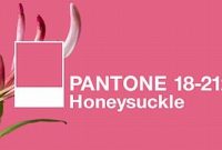 Pantone’s 2011 Color: Honeysuckle Pink Explained