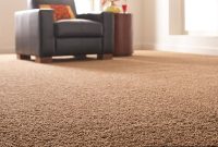 Home Depot Platinum Plus Carpet Review — Road Test Part 1