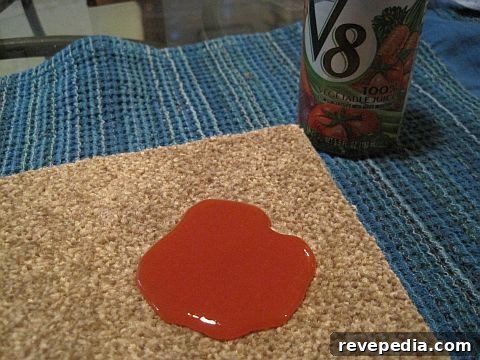 Home Depot Platinum Plus Carpet Review — Road Test Part 1 3 V8_spill.jpg