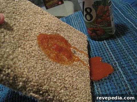 Home Depot Platinum Plus Carpet Review — Road Test Part 1 4 V8_runoff.jpg