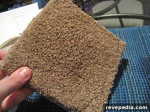 Home Depot Platinum Plus Carpet Review — Road Test Part 1 5 platinumplus_final.jpg