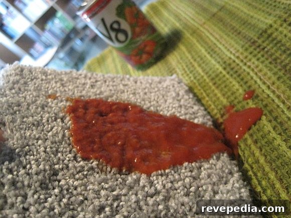 Home Depot’s Martha Stewart Living Carpet Review: Road Test Part 2 4 MSL_runoff.jpg