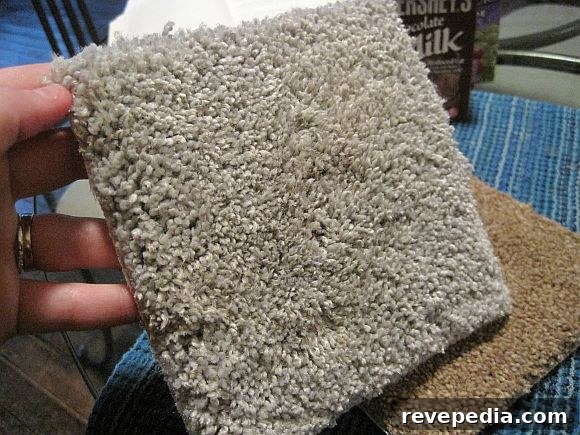 Home Depot’s Martha Stewart Living Carpet Review: Road Test Part 2 5 MSL_after.jpg