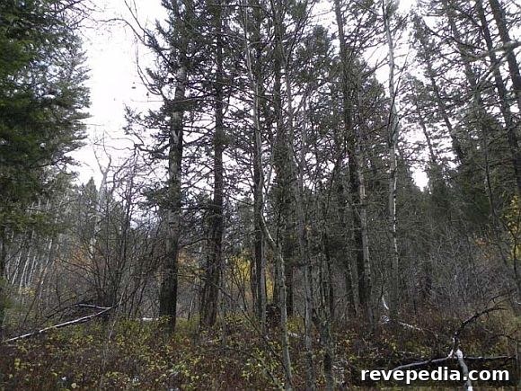 img 2072 1