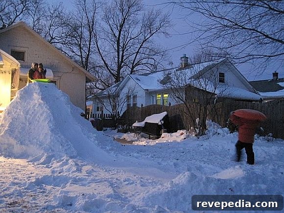 How to Build a DIY Snow Ramp for Skiing and Snowboarding 2 DIYSnowRamp_Finished.JPG