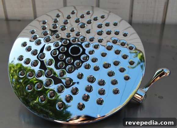moen-rain-showerhead.jpg
