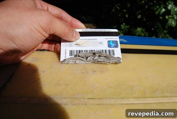 Remove Surfboard Wax Quickly: Simple Steps for a Clean Board 4 remove-surfboard-wax-credit-card.jpg