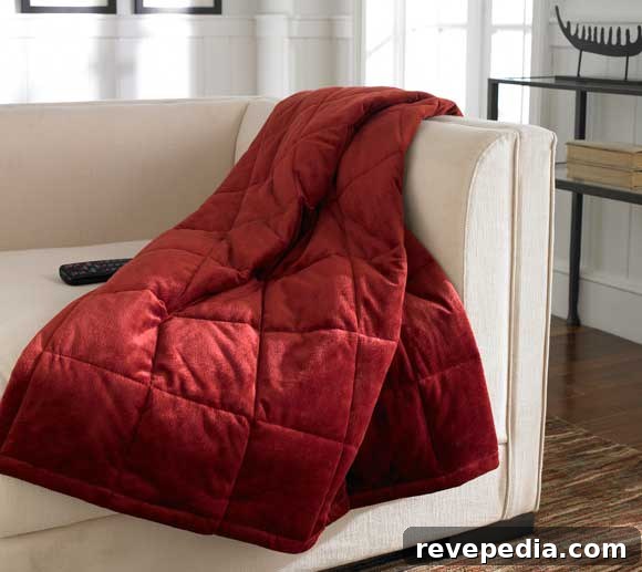 Valentine’s Day Giveaway: Win a ComfortTech 3M Thinsulate Insulated Blanket 2 comfortech-3m-thinsulate-throw-blanket.jpg