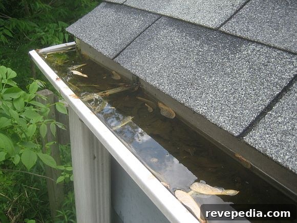 Early Spring Home Maintenance Checklist for a Smooth Season 2 spring maintenance checklist
