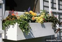 DIY Window Boxes: Step-by-Step Guide for Beautiful Planters