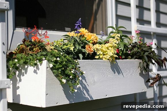 DIY Window Boxes: Step-by-Step Guide for Beautiful Planters 2 DIY_WindowBox.jpg