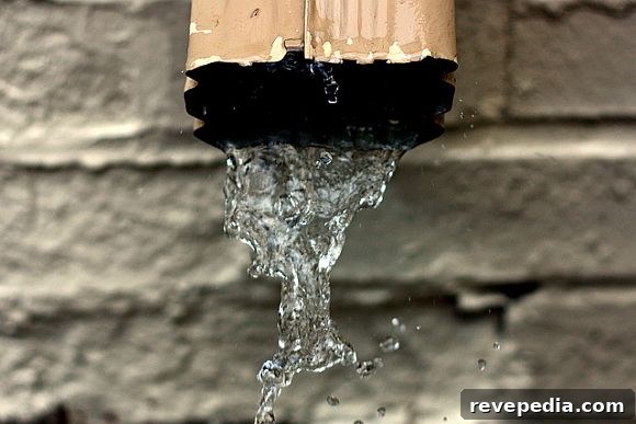 How to Clean Rain Gutters Safely and Effectively 2 Gutter_Downspout.jpg