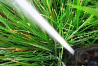 How to Build Your Own Garden Irrigation System at Home