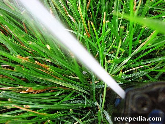 How to Build Your Own Garden Irrigation System at Home 2 SprinklerSystem.jpg