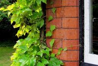 Stay Cool Without Air Conditioning: Practical Tips for Hot Days