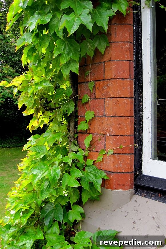 Stay Cool Without Air Conditioning: Practical Tips for Hot Days 2 KeepCoolWithoutAC.jpg