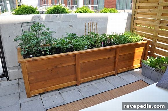 Create a DIY Container Garden: Step-by-Step Guide for Beginners 2 DIY_ContainerGarden.jpg