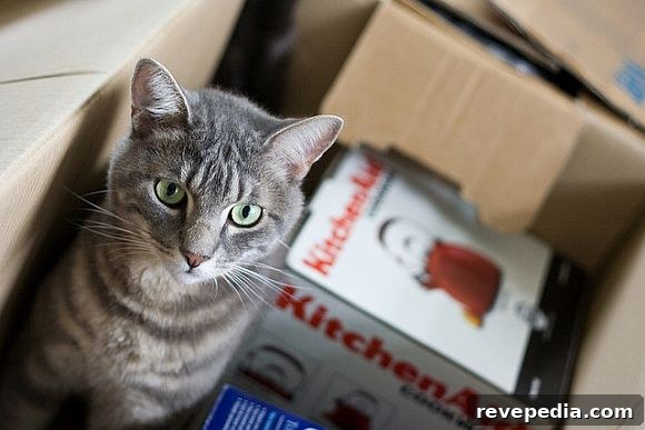 8 Quick Unpacking Hacks to Settle In After a Move 2 UnpackingTips.jpg