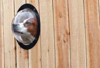 Dog Peek Portal: A Secure Outdoor Window for Your Pet Fence