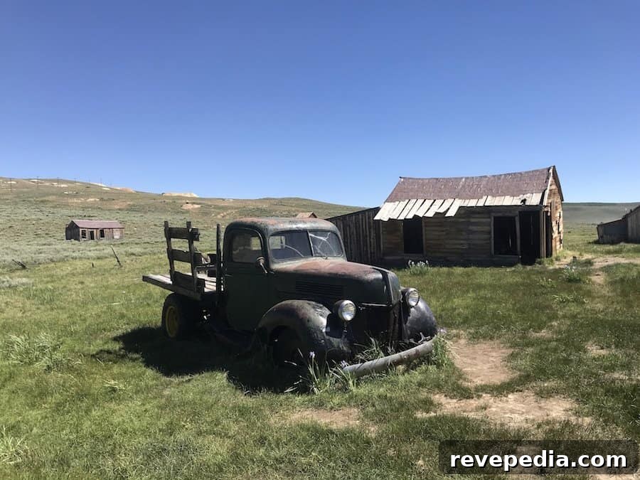 Bodie