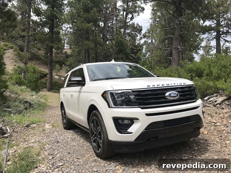 ford expedition