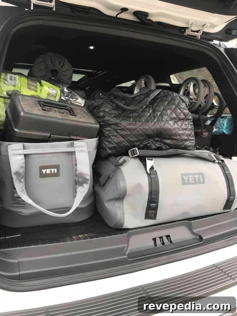 ford expedition cargo