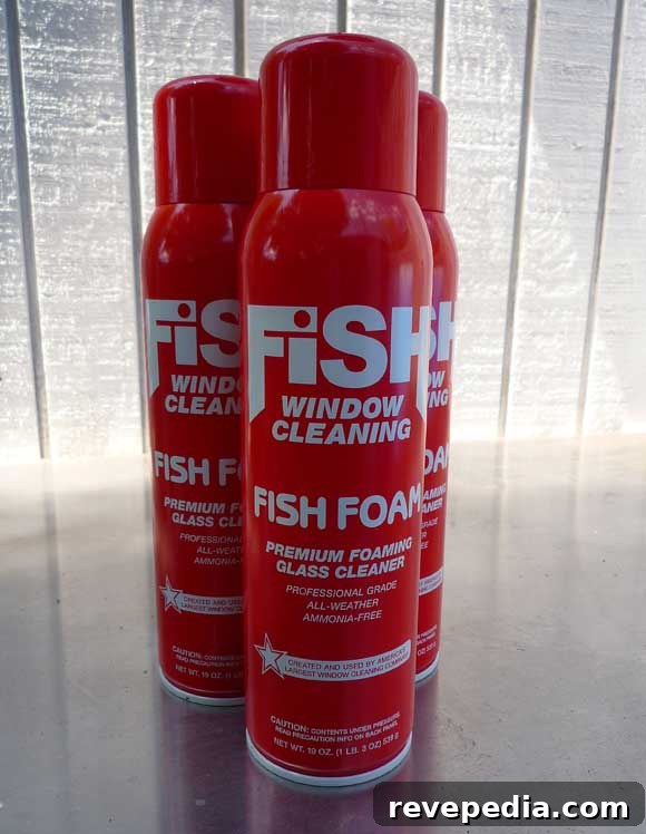 Fish Foam Premium Glass Cleaner Giveaway — Enter to Win Now 3 fish-foam-window-cleaner.jpg