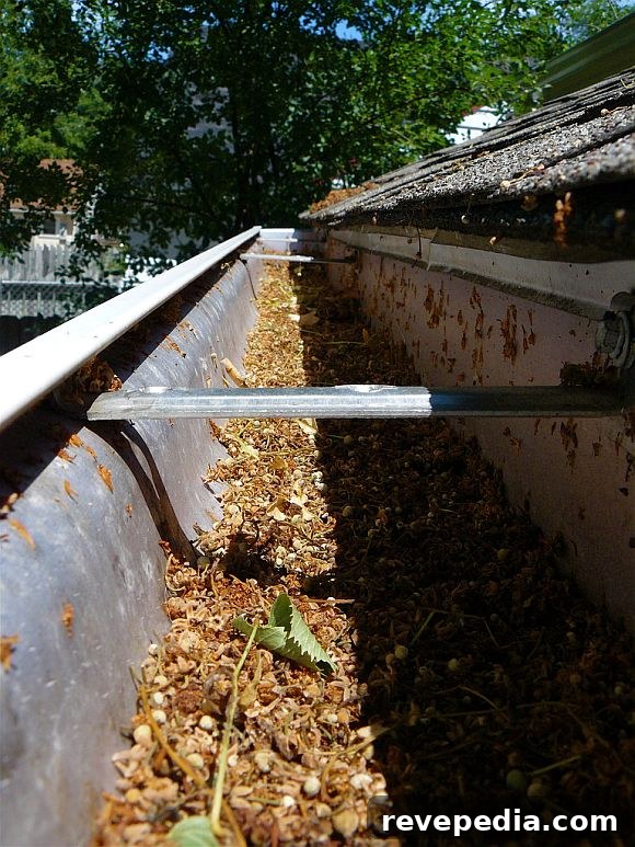 Keep Gutters Clear Year-Round With Gutter Filler Inserts 2 DirtyGutters.jpg