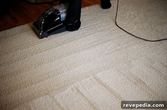 Pre-Holiday DIY Checklist: Essential Tasks Before Your Trip 2 CleaningCarpets.jpg