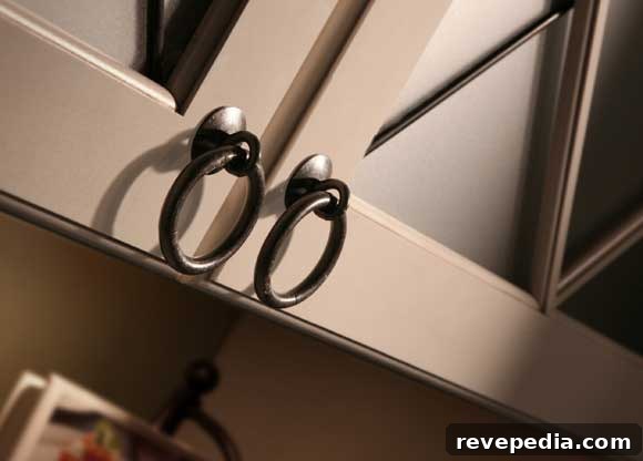 Artisan Cabinet Hardware Collection Available at The Home Depot 5 Metal-Ring-Knob.jpg
