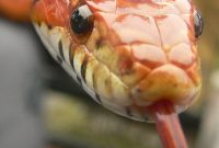 Creepiest Discoveries Found After Moving Into a New Home